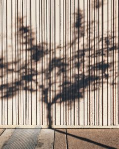 houten muur schutting